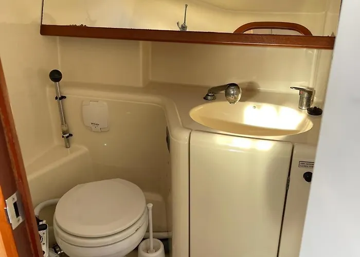 Singular En バイヨーナ